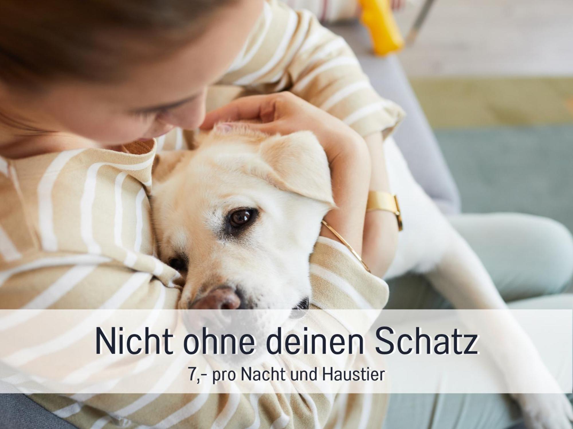 Ferienhaus Toepferhaus - Strandnah, Haustierfreundlich, Optimal Fuer Workation, Kaminofen, Garten, Fuer Paare Und Alleinreisende Штайнберг Экстерьер фото